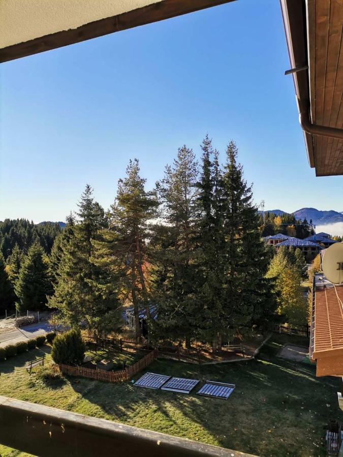 Forest Home 524 Смолян Екстериор снимка