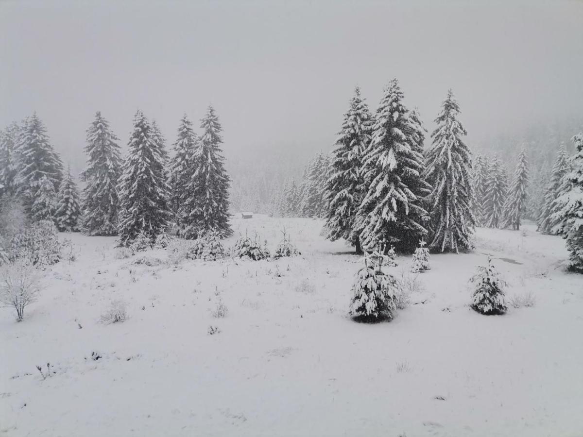 Forest Home 524 Смолян Екстериор снимка